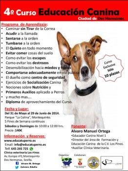 4-curso-adiestramiento-canino