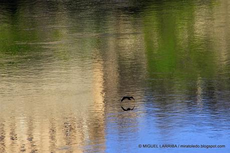 ¿No ves en los cristales, vuelta en hielo una ninfa del T...