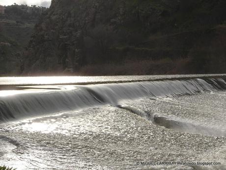 ¿No ves en los cristales, vuelta en hielo una ninfa del T...