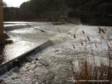 ¿No ves en los cristales, vuelta en hielo una ninfa del T...