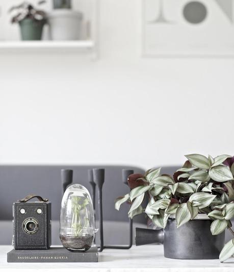 CANDELABROS PARA UNA NOCHE DE VERANO