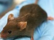 cuentan verdad sobre investigación fármacos precios