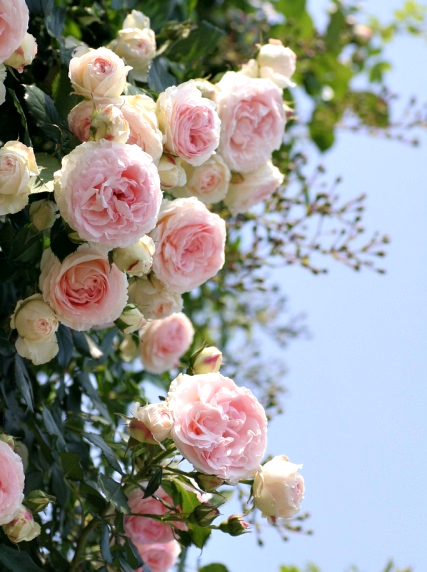 ♥ Mi Spring Beauty Tag