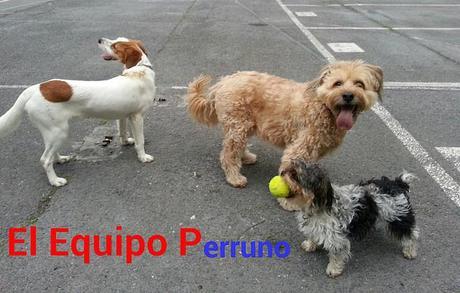 estamos tan agustito