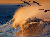 acabaron suspiros...