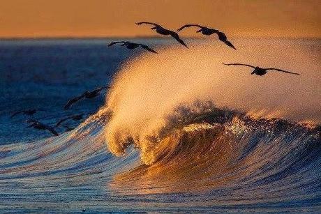 SE ACABARON LOS SUSPIROS...