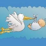 sueños con cigueñas