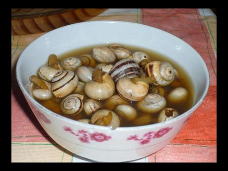 Cocina conmigo: Caracoles