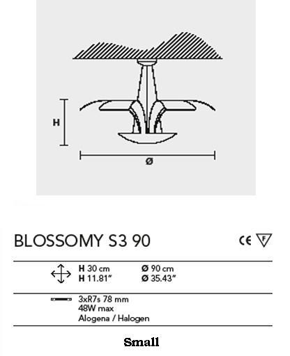 La metamorfosis de Blossomy