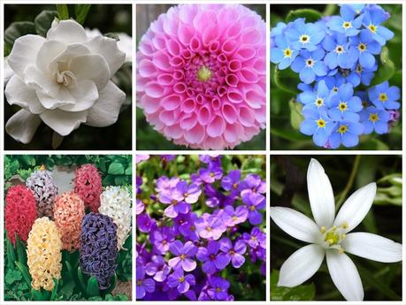 Un ramo para cada novia y una flor para cada estación