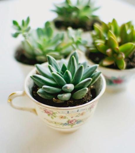 Antes una taza ahora....un sin fin de posibilidades.