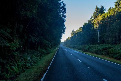 Carretera de Haast a los glaciares Fox y Franz Josep Carretera de Haast a los glaciares Fox y Franz Josep