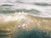 ¿Qué espumas poliuretano?