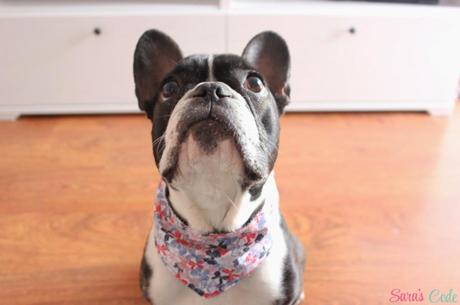 DIY Bandana Reversible para Sookie