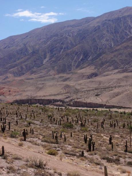 Quebrada de Humahuaca