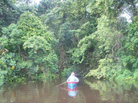 Canales Tortuguero 2