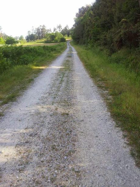 #FotoFinde: de paseo