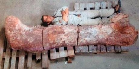Argentina: Hallan el dinosaurio más grande jamás descubierto