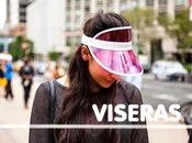 Viseras