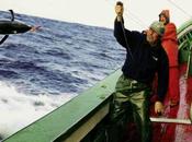investigador marino, atunes pesca artesanal