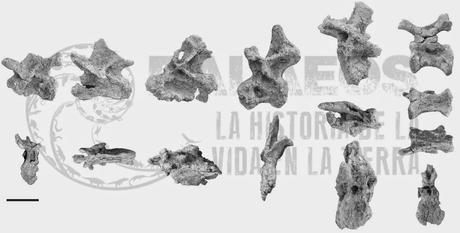 Noticias de la semana pasada