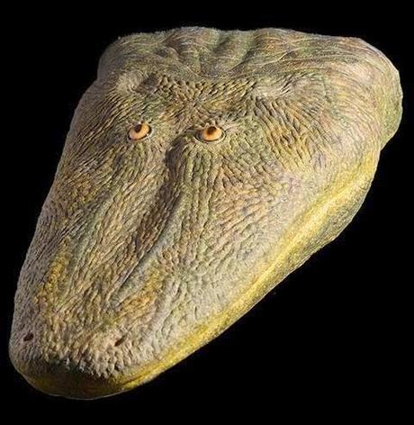 Noticias de la semana pasada