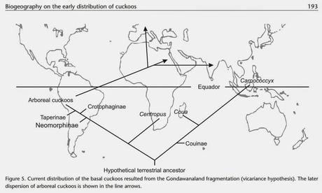 ¡Hoatzines europeos!