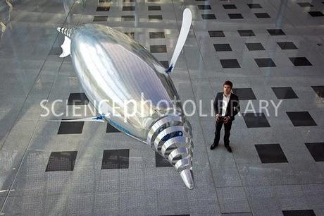 10 cosas que probablemente no sabías de: Los pingüinos