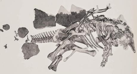 ¿Y qué es un estegosaurio?