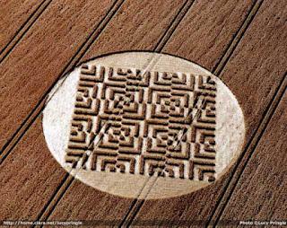 Los Círculos de las Cosechas o el lenguaje del Cosmos