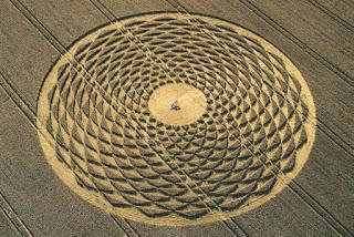 Los Círculos de las Cosechas o el lenguaje del Cosmos