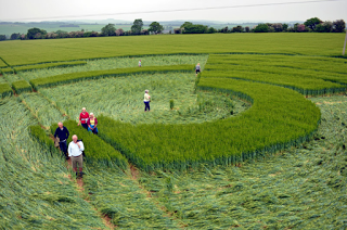 Los Círculos de las Cosechas o el lenguaje del Cosmos