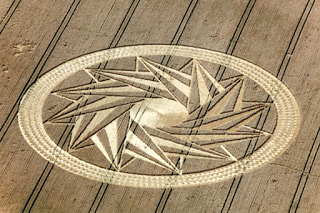 Los Círculos de las Cosechas o el lenguaje del Cosmos