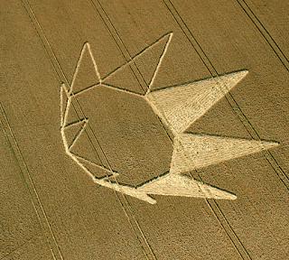 Los Círculos de las Cosechas o el lenguaje del Cosmos