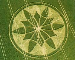 Los Círculos de las Cosechas o el lenguaje del Cosmos
