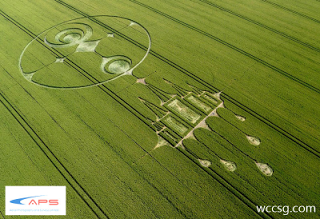 Los Círculos de las Cosechas o el lenguaje del Cosmos