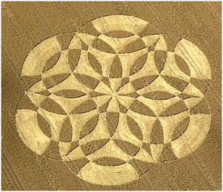 Los Círculos de las Cosechas o el lenguaje del Cosmos