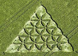 Los Círculos de las Cosechas o el lenguaje del Cosmos