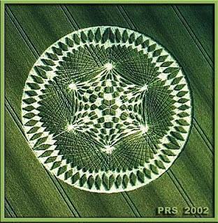 Los Círculos de las Cosechas o el lenguaje del Cosmos