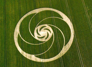 Los Círculos de las Cosechas o el lenguaje del Cosmos