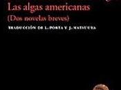 tumba luciérnagas. Akiyuri Nosaka