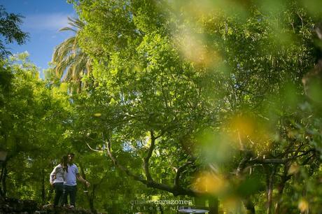 preboda en parque