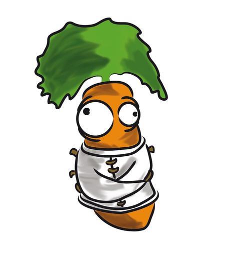 Zanahorias???!!!!! Manual de uso y disfrute.