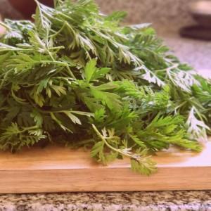 Zanahorias???!!!!! Manual de uso y disfrute.