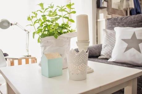 El encanto de nuestro salón: Una planta de hierbabuena