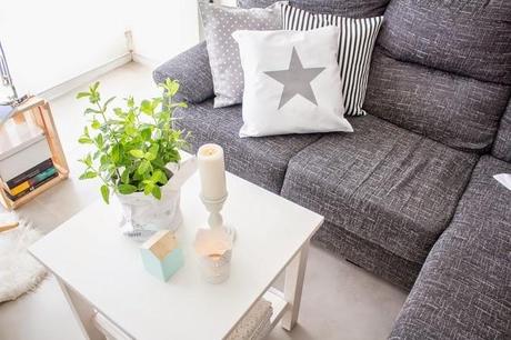 El encanto de nuestro salón: Una planta de hierbabuena