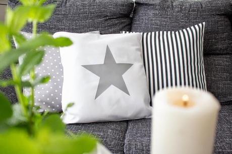 El encanto de nuestro salón: Una planta de hierbabuena