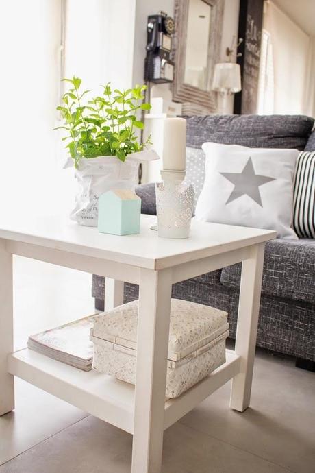 El encanto de nuestro salón: Una planta de hierbabuena