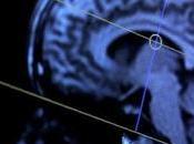 escaneo cerebral podría diseñar productos “científicamente perfectos”