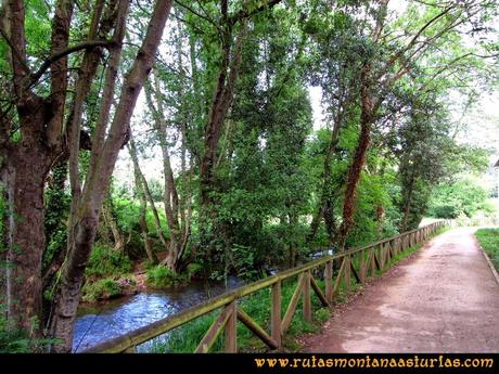 Senda Verde Camocha - Pico Sol - Piles: Senda del Piles, paseo por la orilla